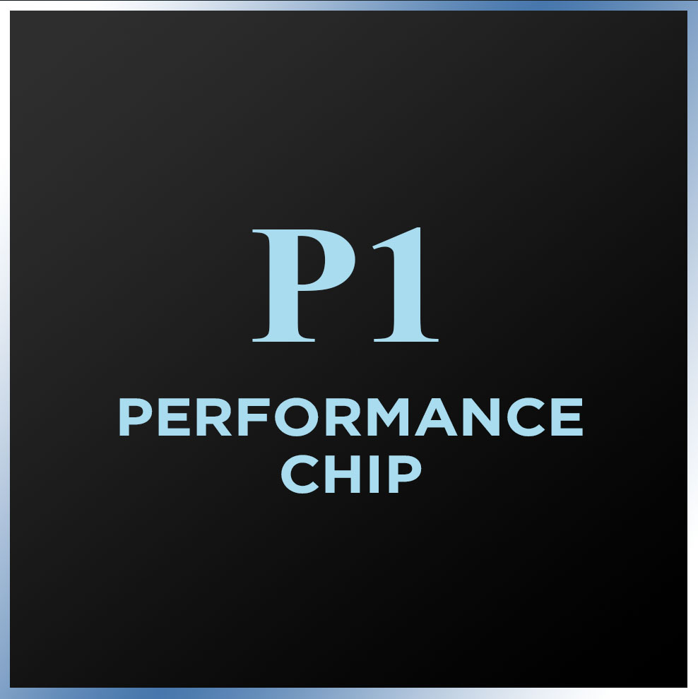 P1 Performance Chip