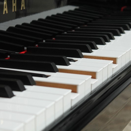 PianoAutoPlayer Image